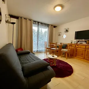 Au Pied Des Pistes Appartement